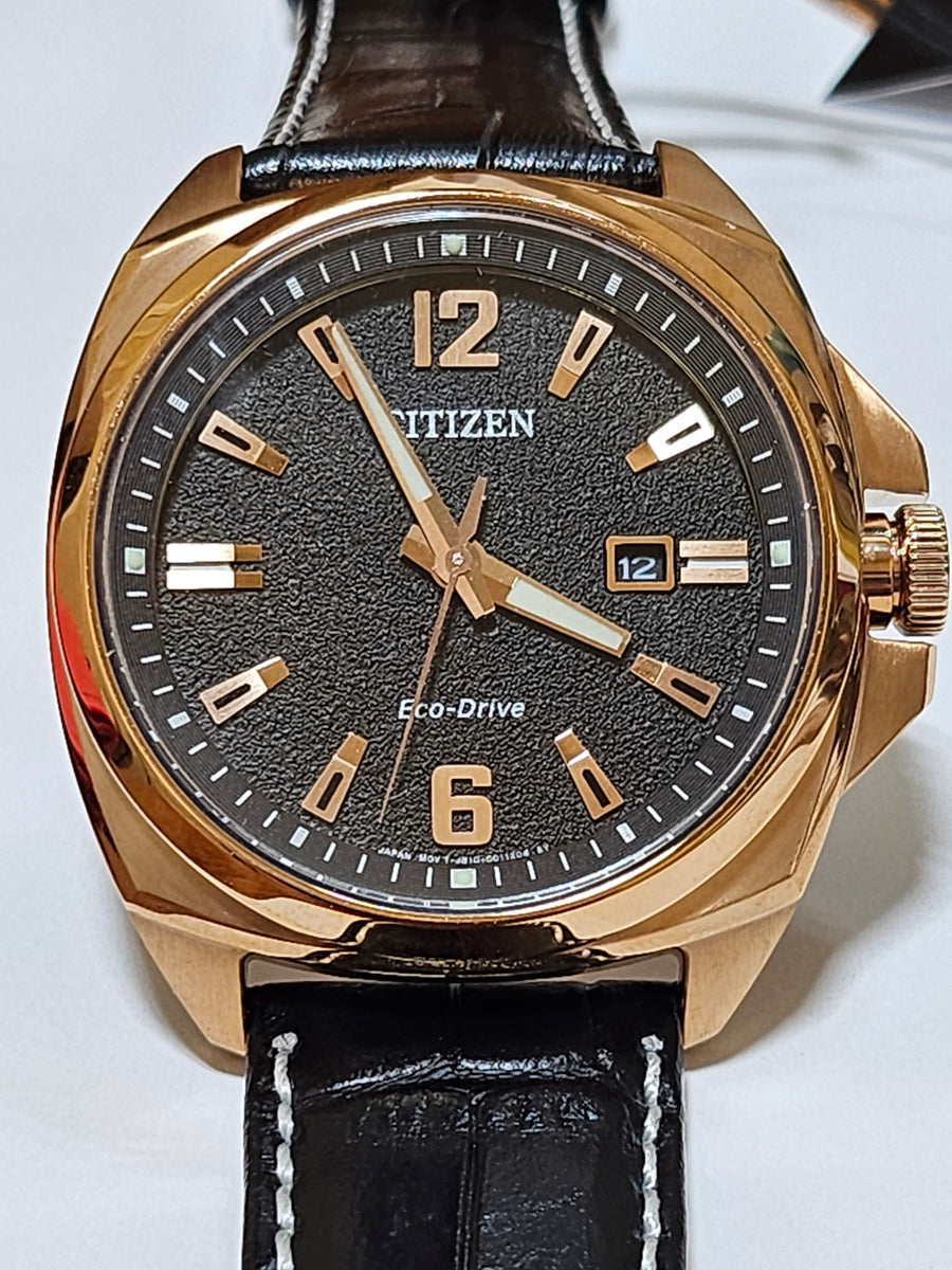 ブライアン② Citizen Eco-Drive Stainless Steel Watch - Leather Band - AW1723