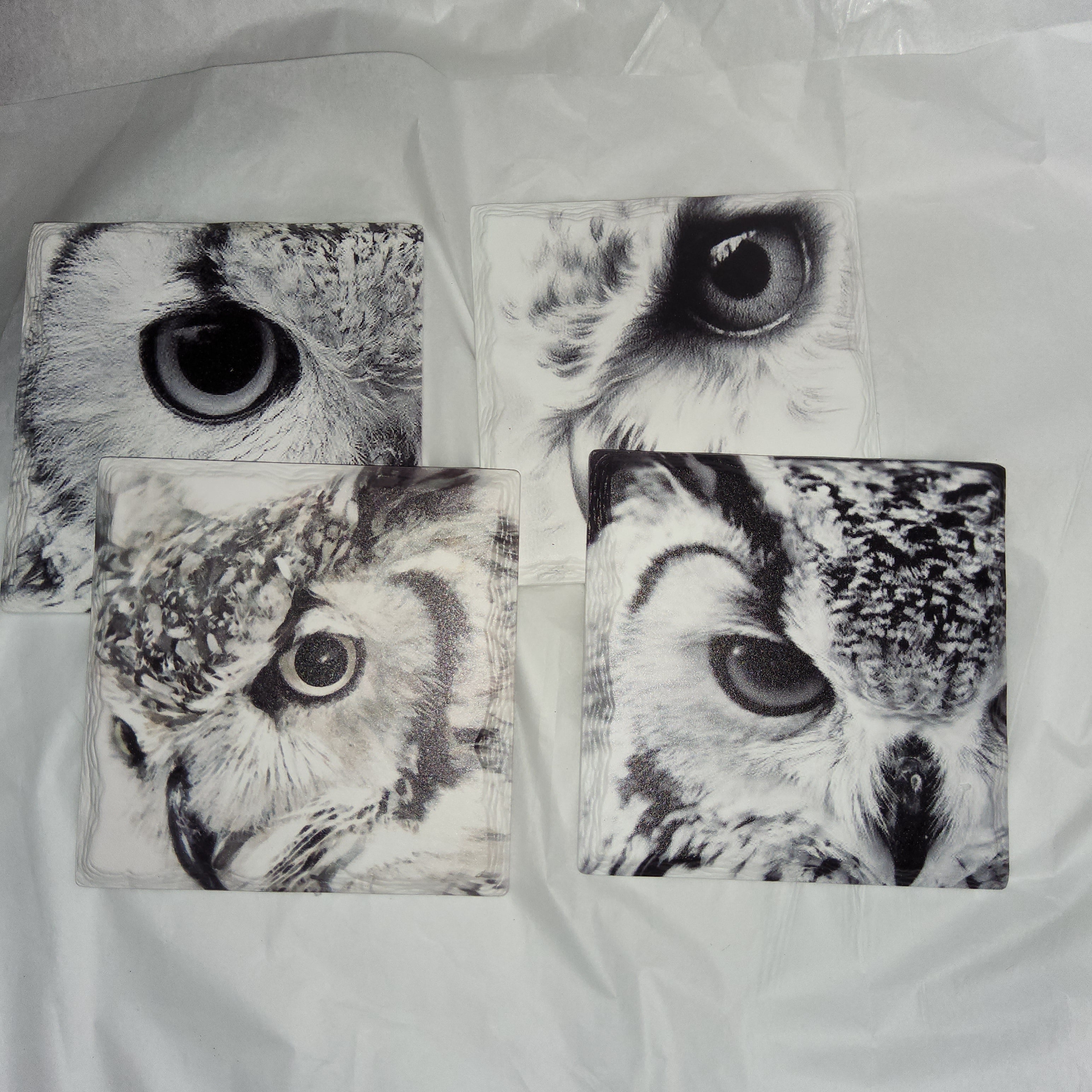 Owl Coasters FJS88386