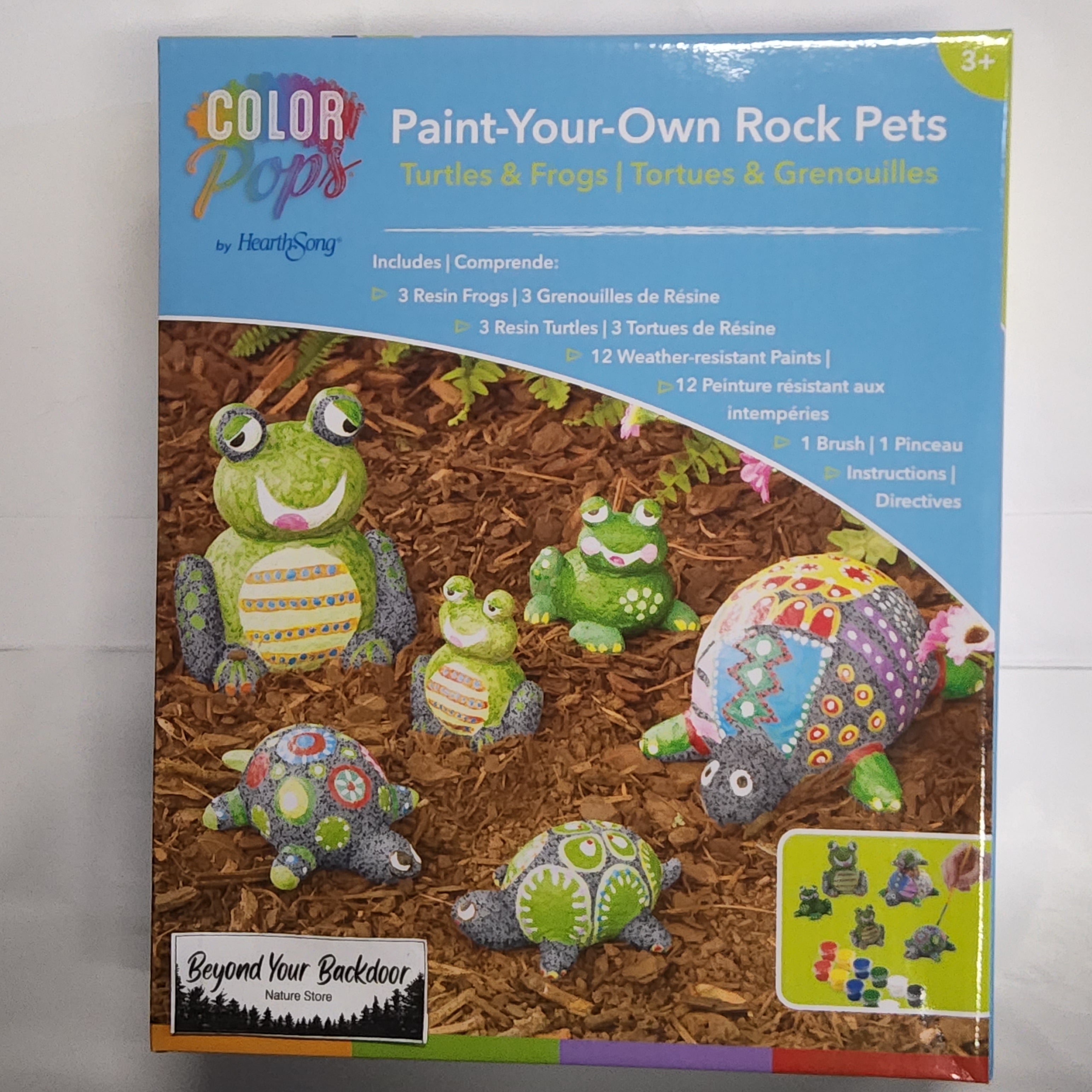 Paint-Your-Own Rock Pets - Turtles and Frogs - By HearthSong - 730948