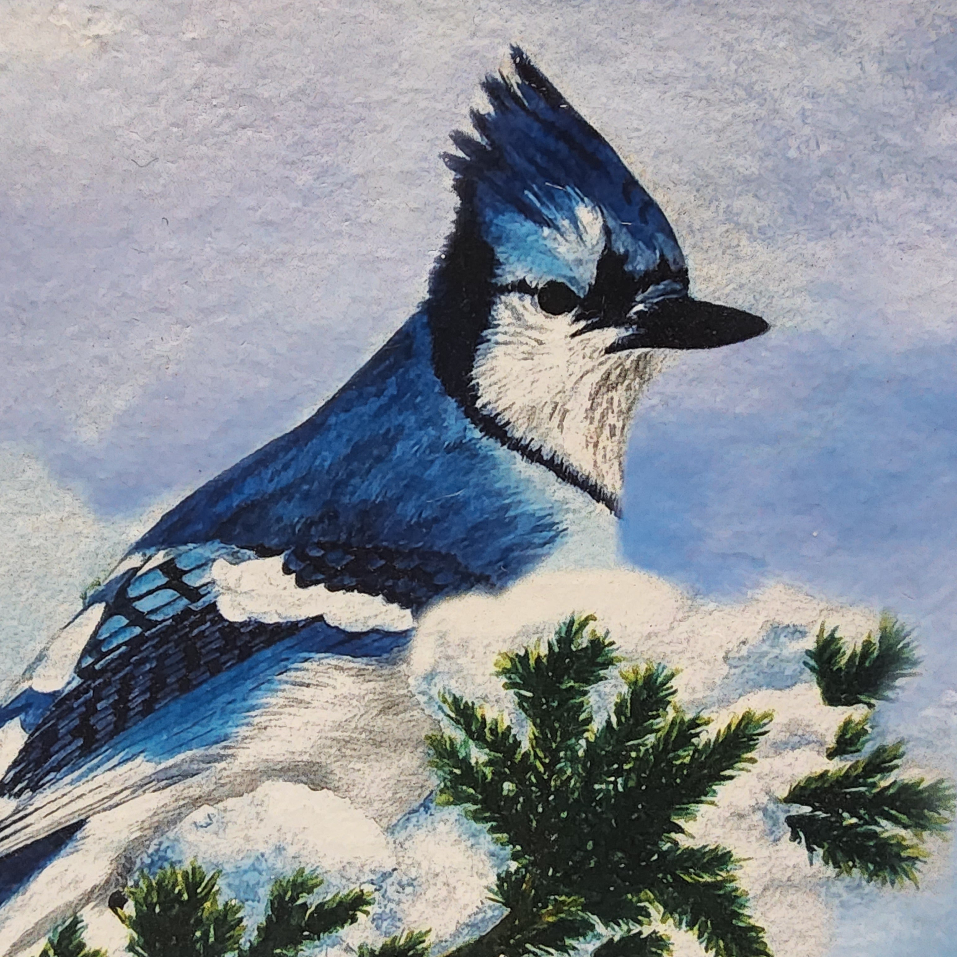 Stone Decor - Blue Jay - Large