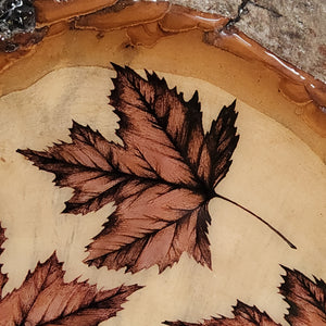 Live Edge Wood Decor - Three Maple Leaves - Glossy Finish