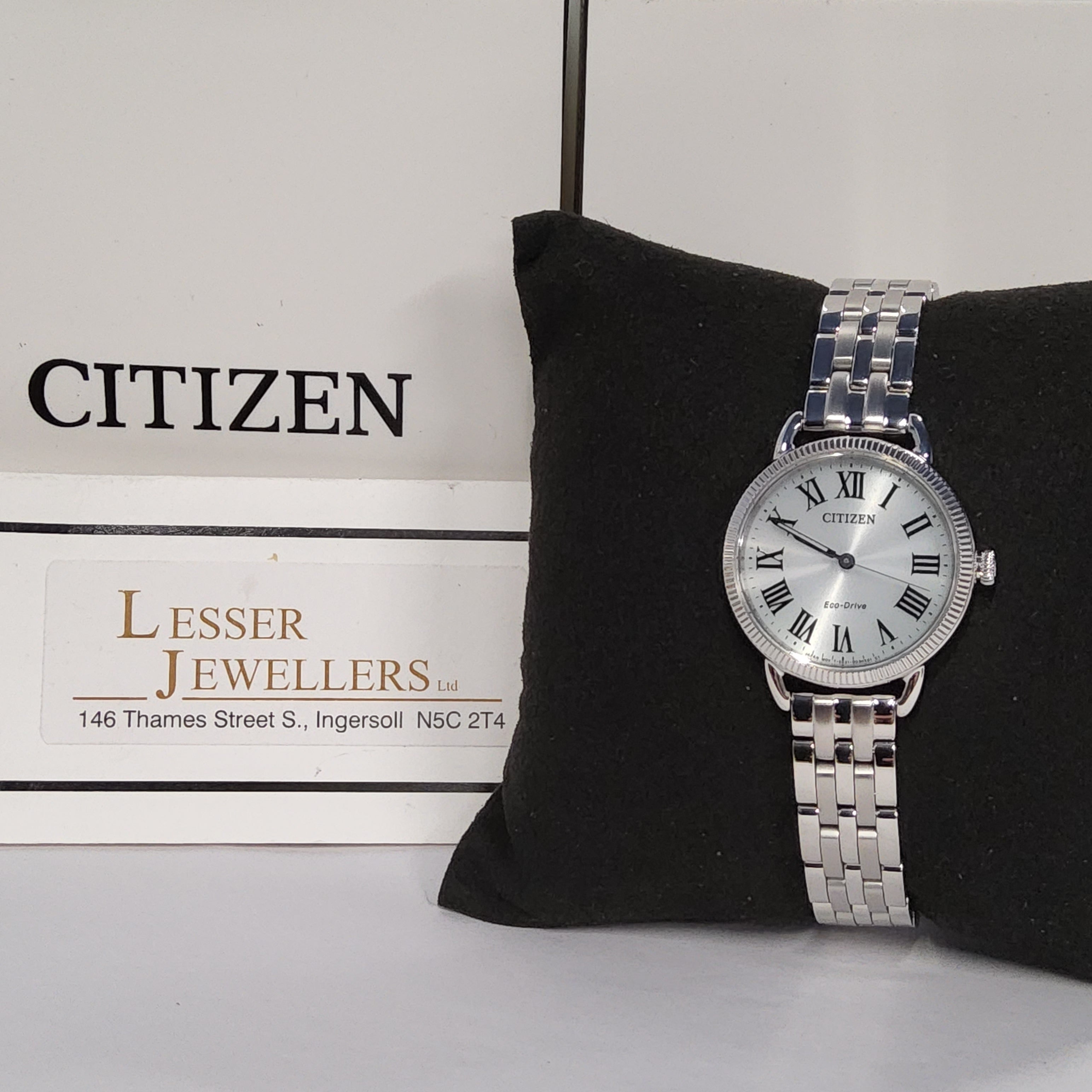 Citizen Eco-Drive Stainless Steel Watch EM1050-56A