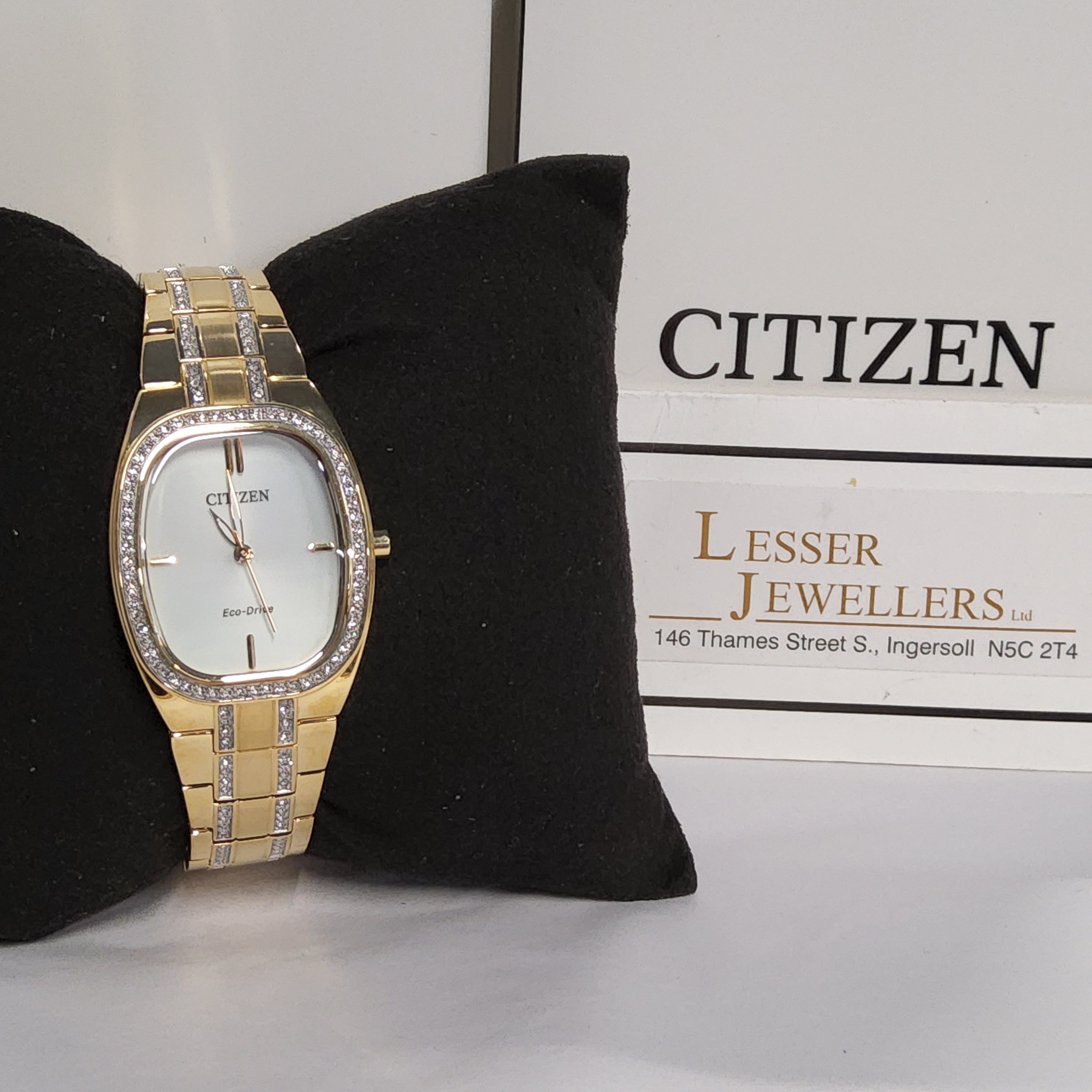 Citizen Eco-Drive Stainless Steel Watch EM1082-50A