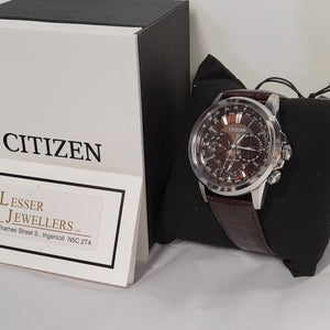 Citizen Eco-Drive Stainless Steel Watch BU2020-29X