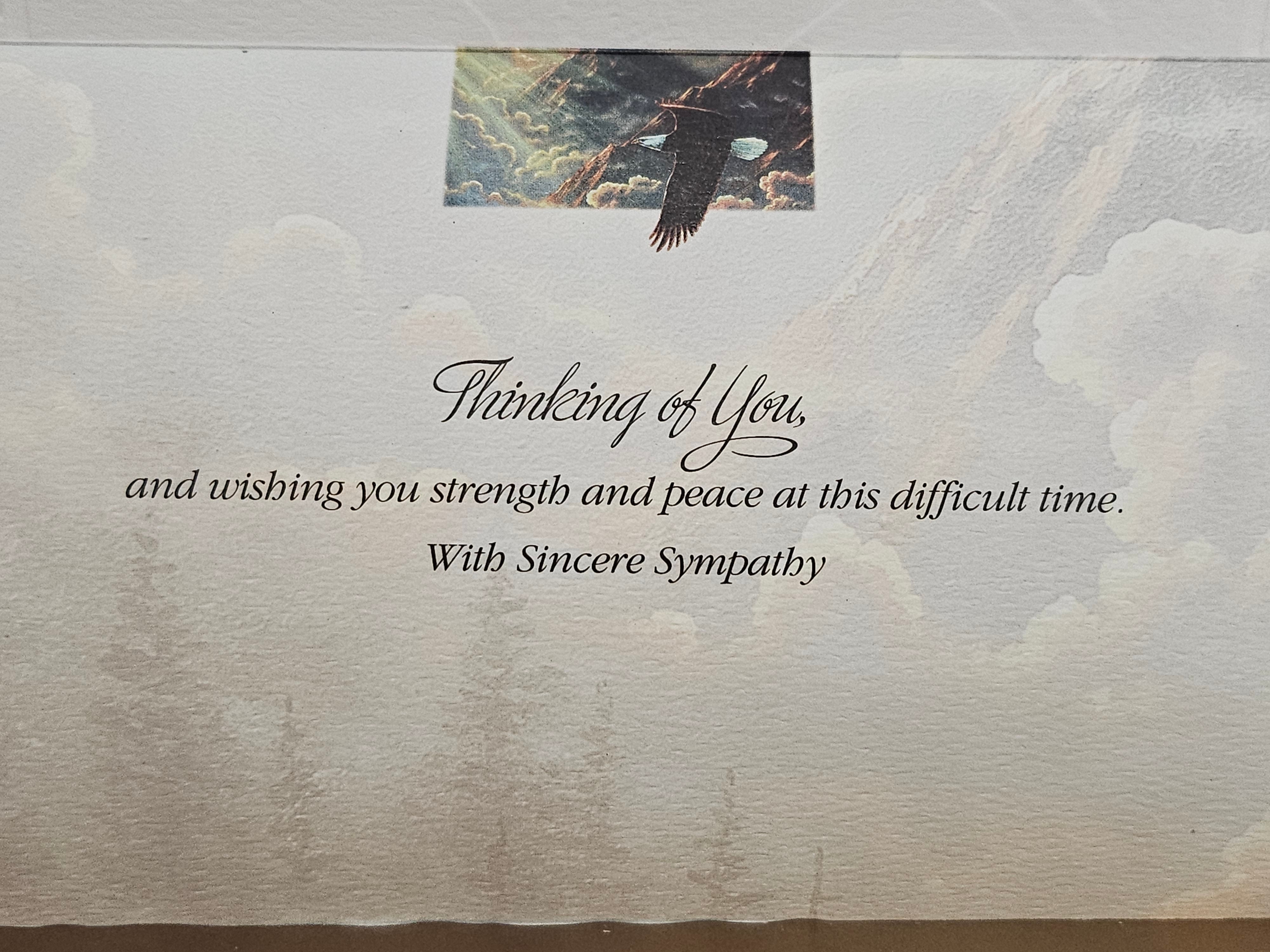 Greeting Card - Sympathy - Bald Eagle - Pumpernickel Press - 50593