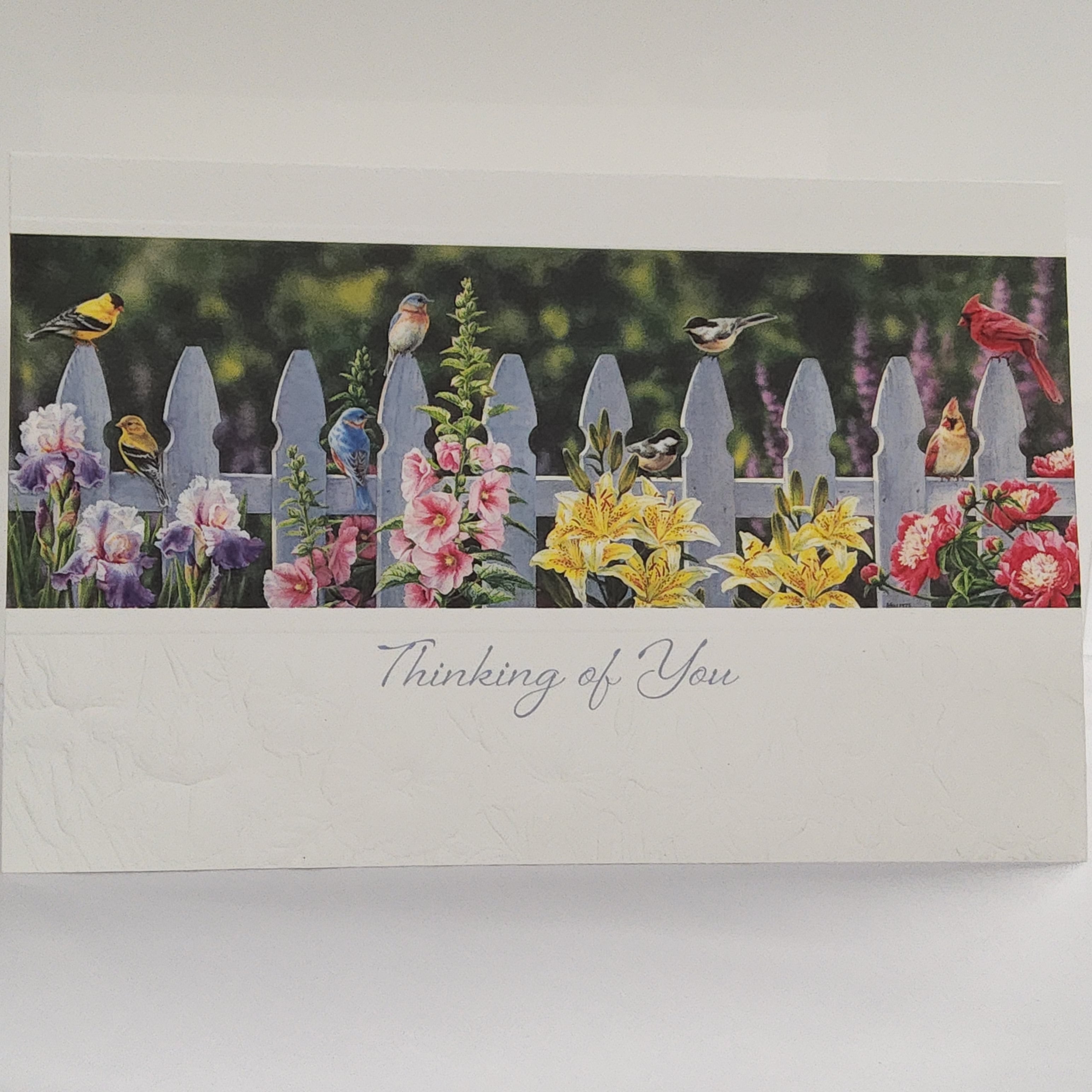 Greeting Card - Thinking of You - Songbirds on Fence - Pumpernickel Press - 50683