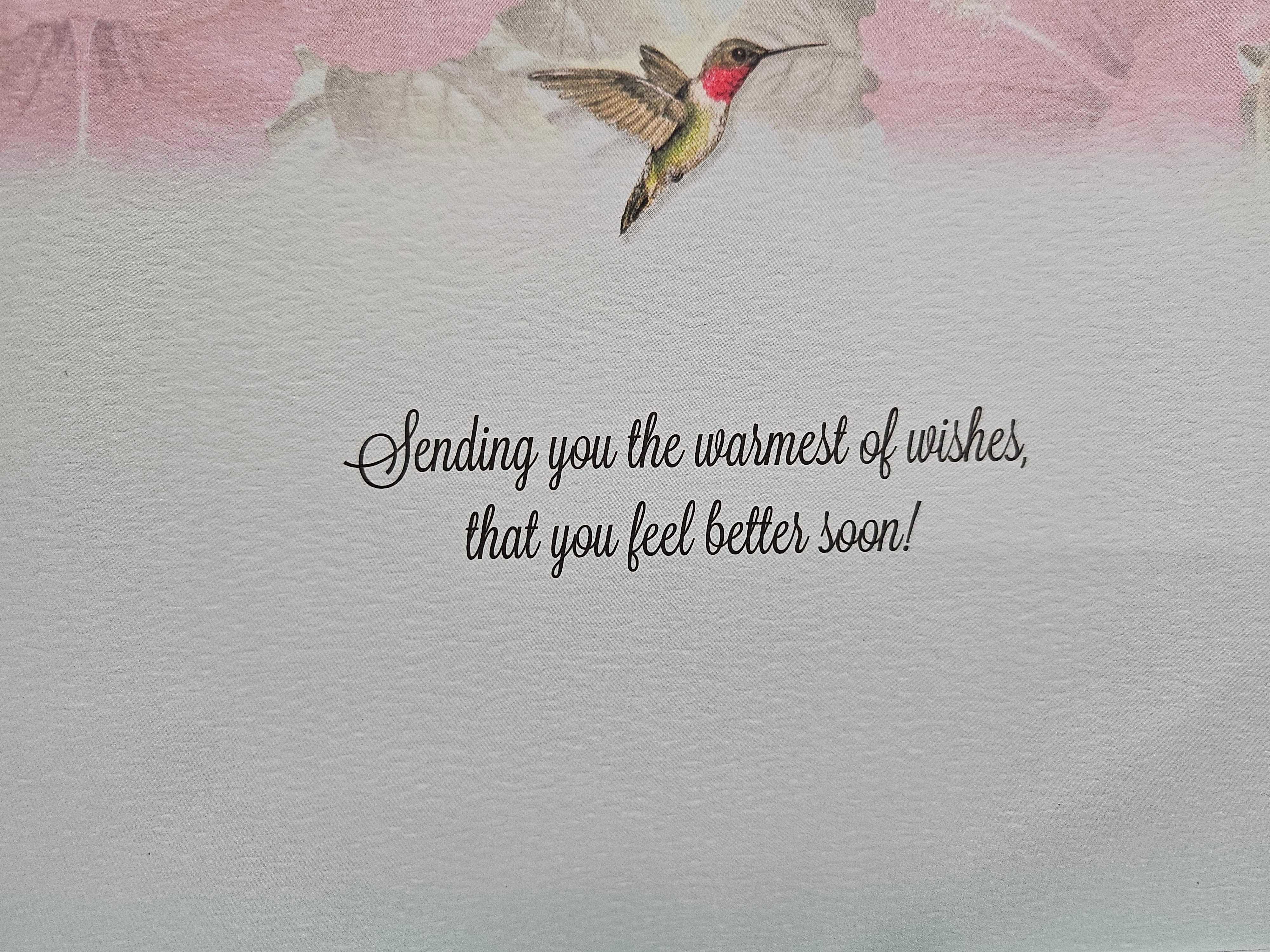 Greeting Card - Get Well - Hummingbird and Hibiscus - Pumpernickel Press - 50634