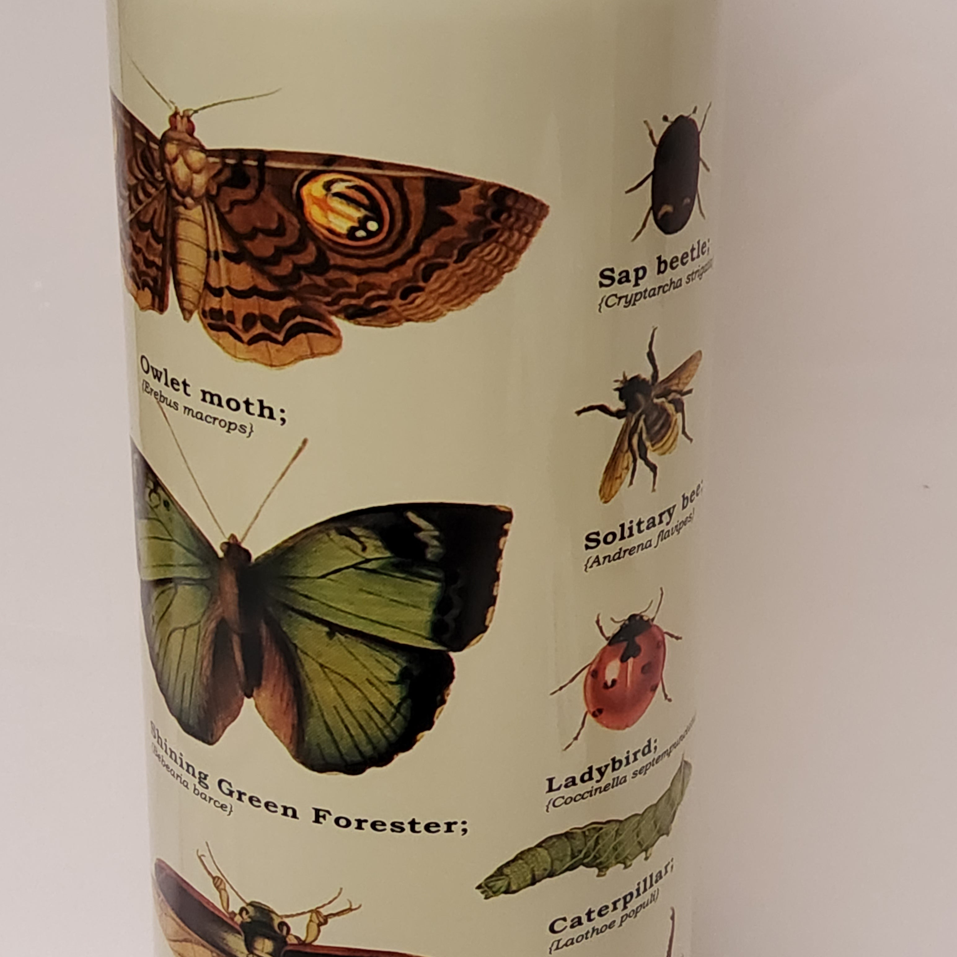 Stainless Steel Thermos - Insects - GR270098