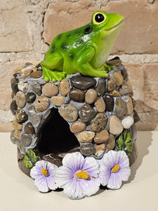 Frog / Toad House