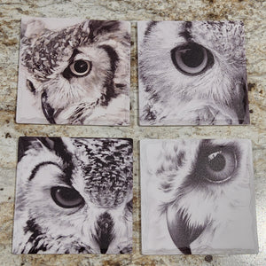 Owl Coasters FJS88386