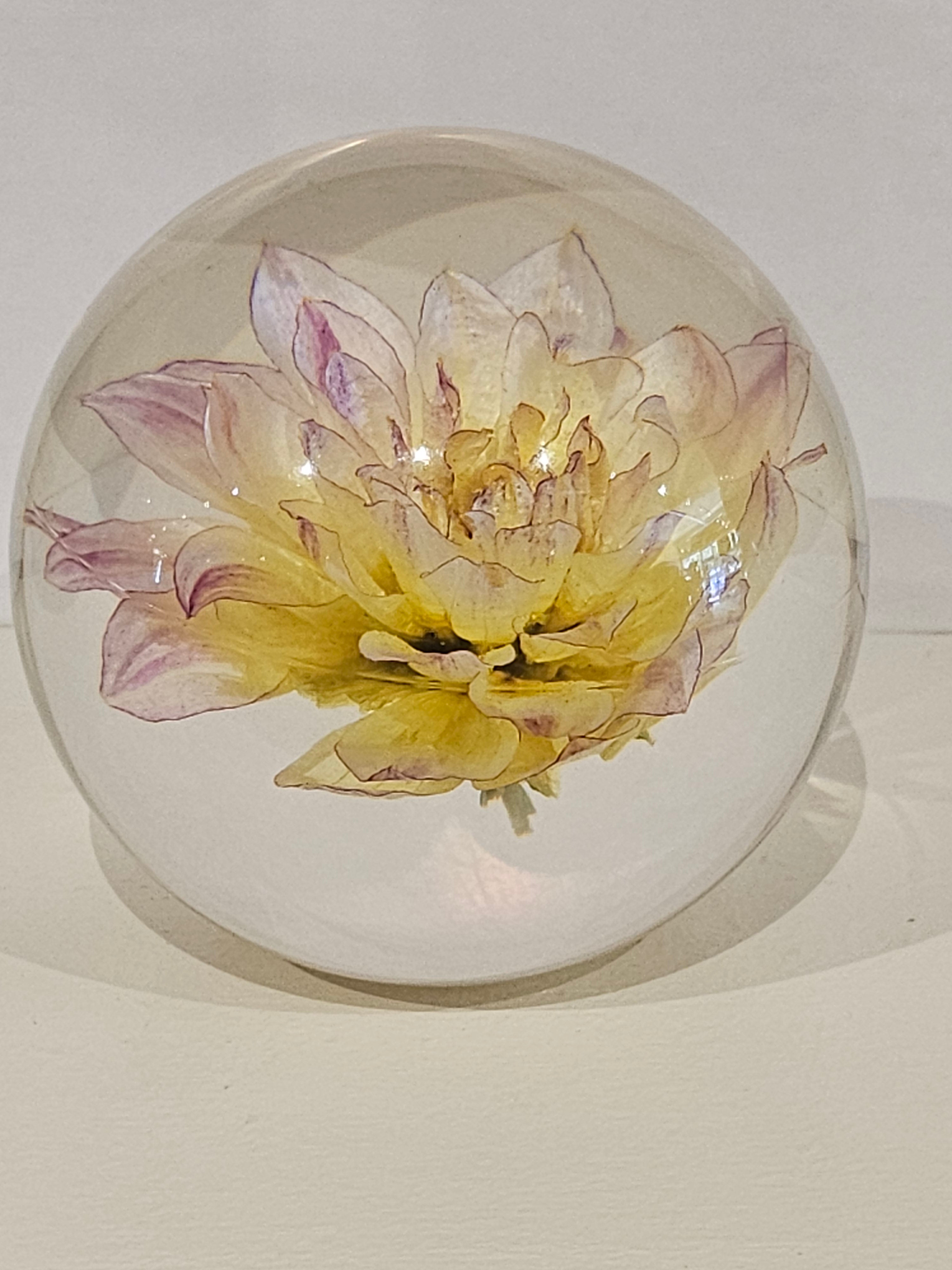 Glass Paperweight with Yellow Dahlia - 6680DHY