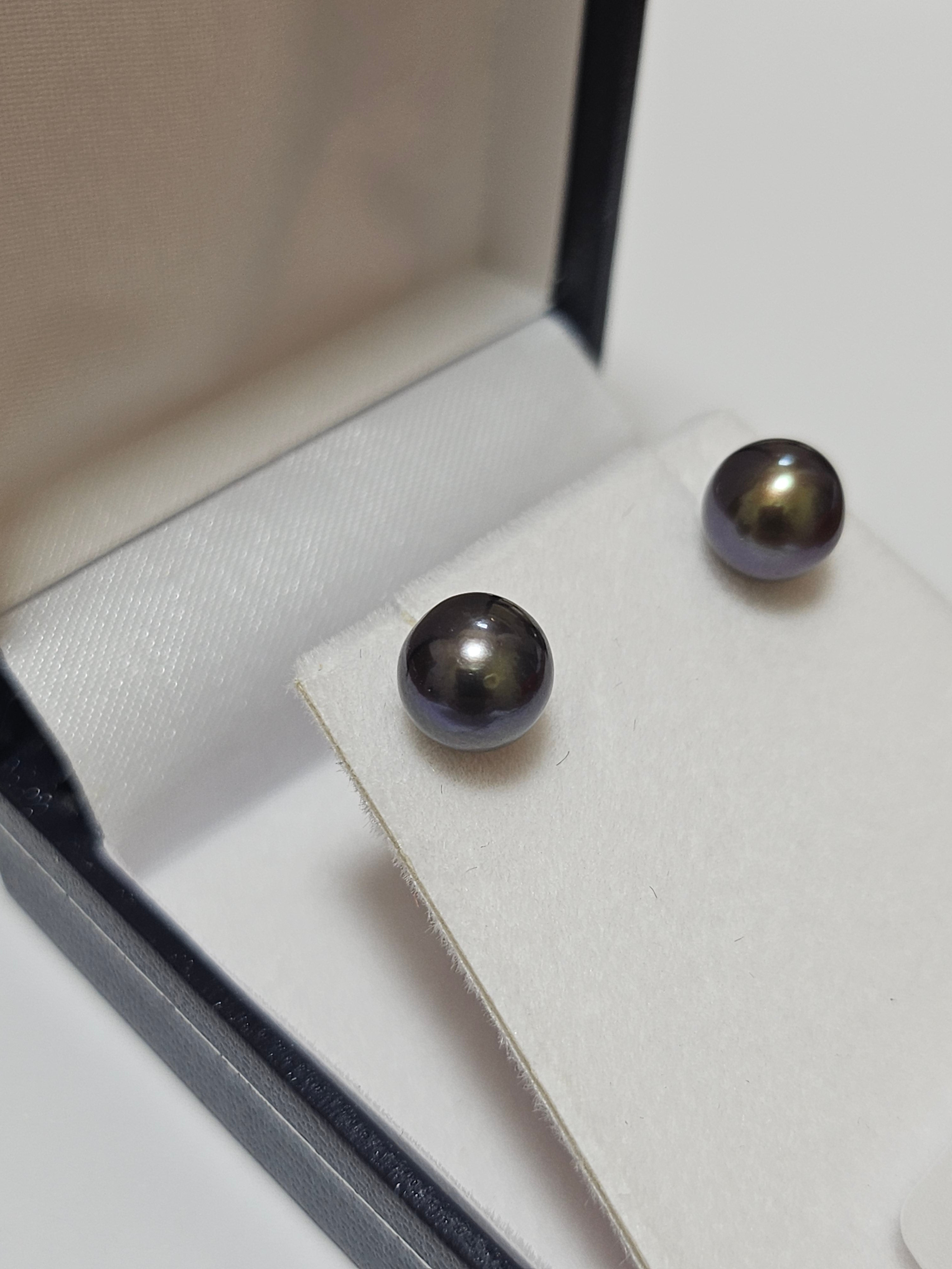 Fresh Water Black Pearl Earrings - $147