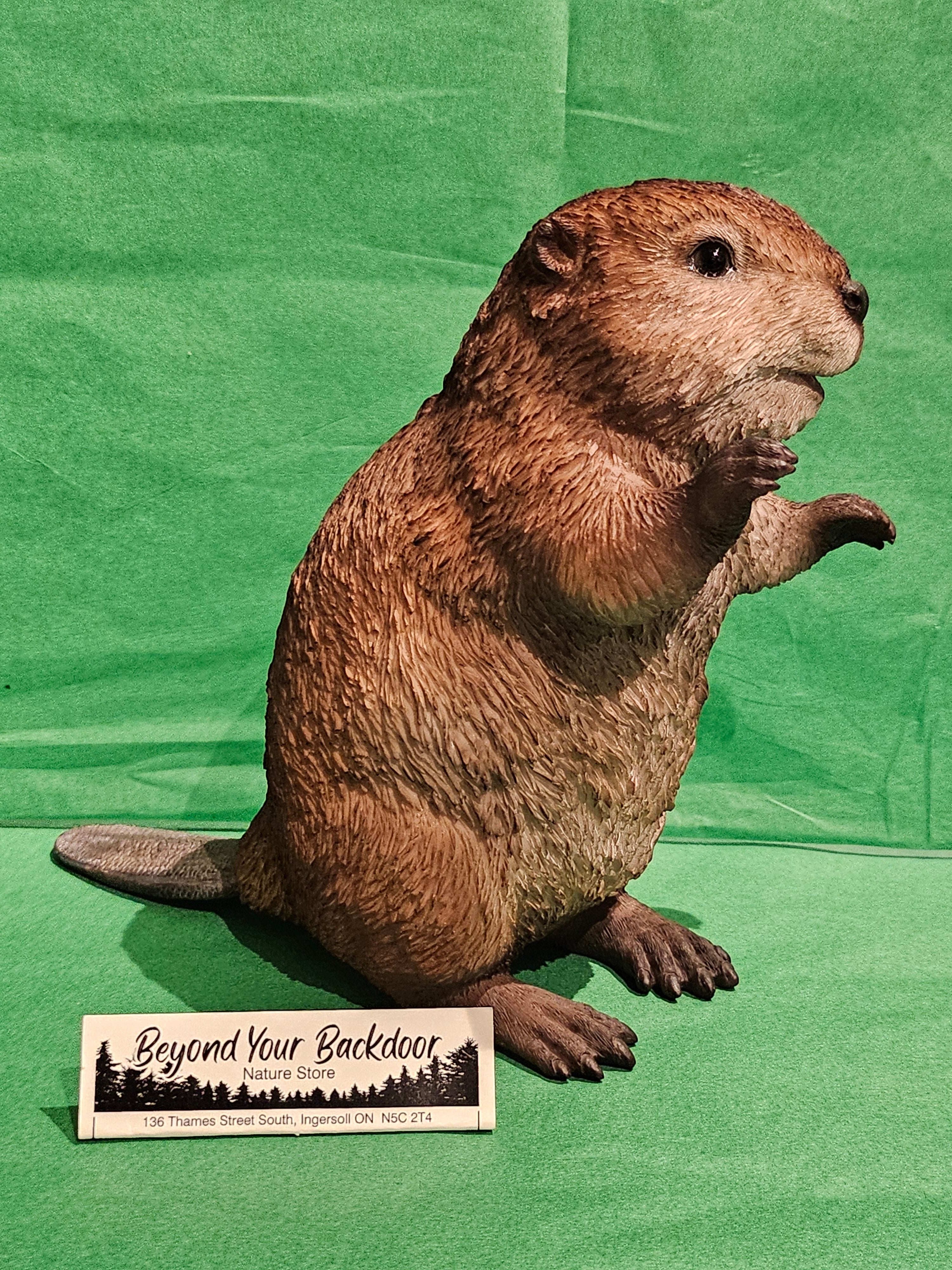 Animal Figurine - Beaver Cub (standing) - 87666-C