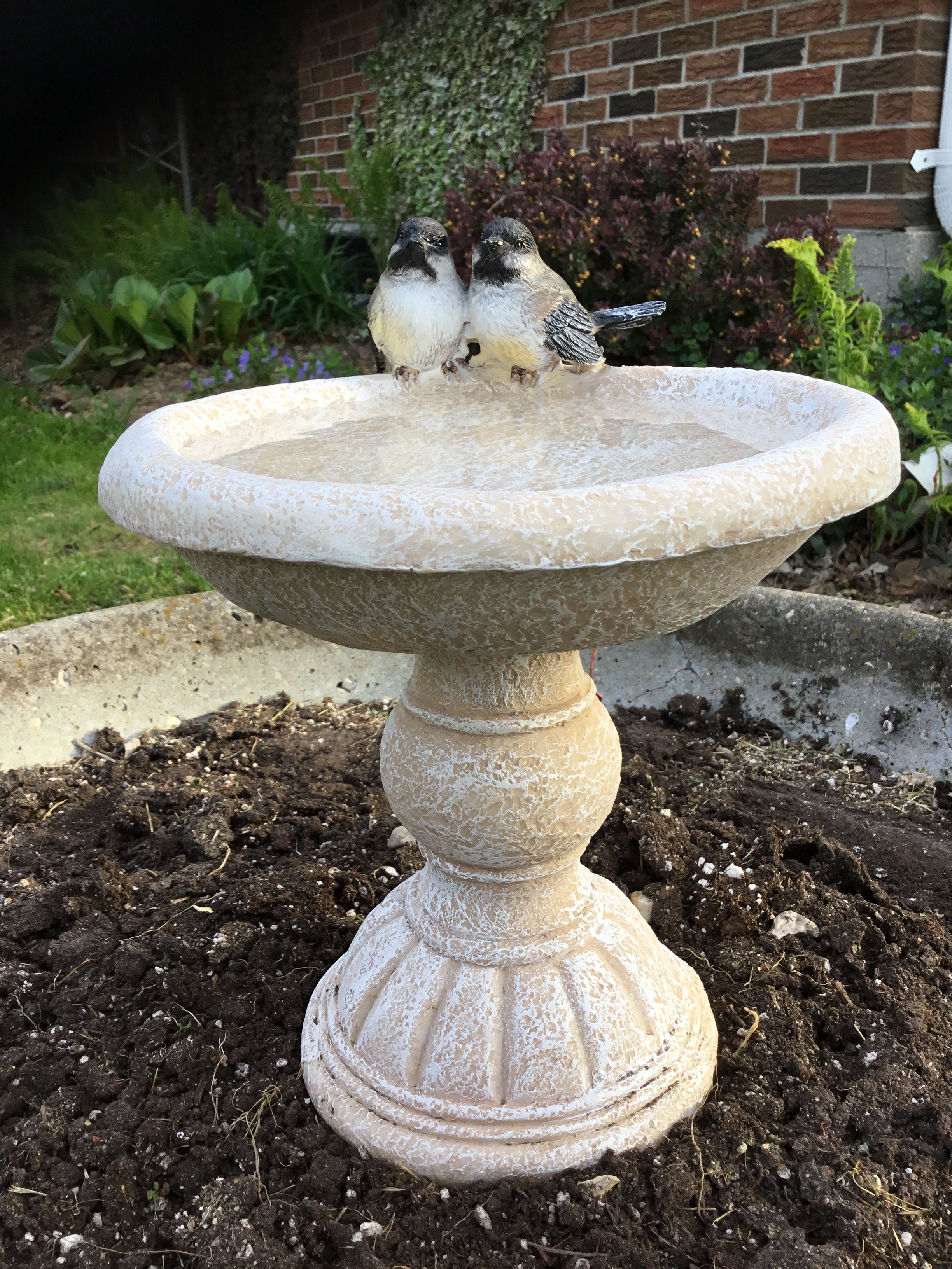 Garden Decor - Chickadees on Bird Bath QM42453