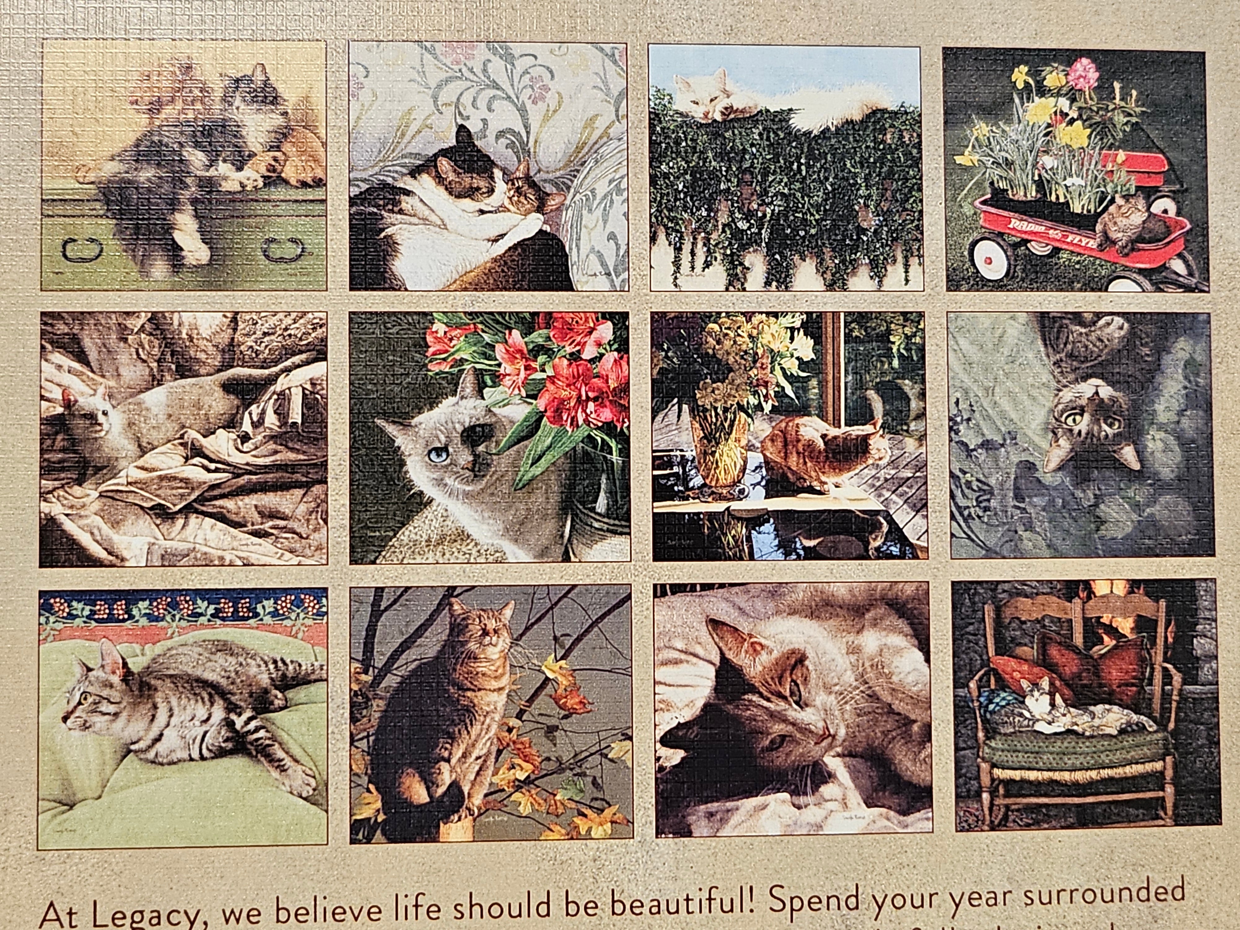 2026 - The Legacy Cats We Love Calendar - by Sueellen Ross - WCA103795