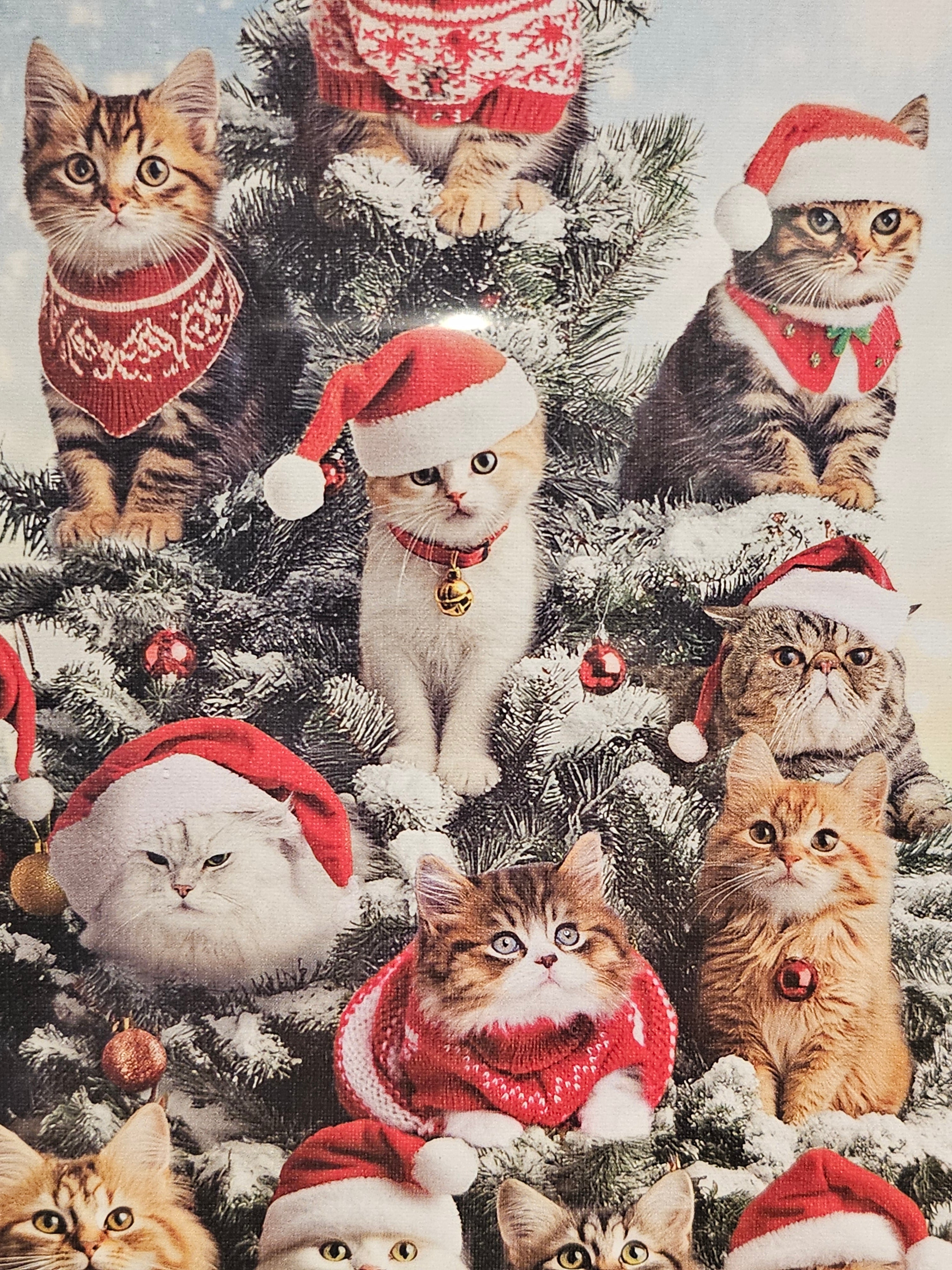 Eurographics Puzzle - Cat Christmas Tree - 1000 pieces - 6000-6072