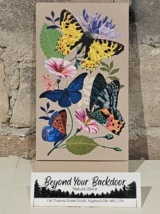Punch Studio Notepad - Butterfly Design - PU52810
