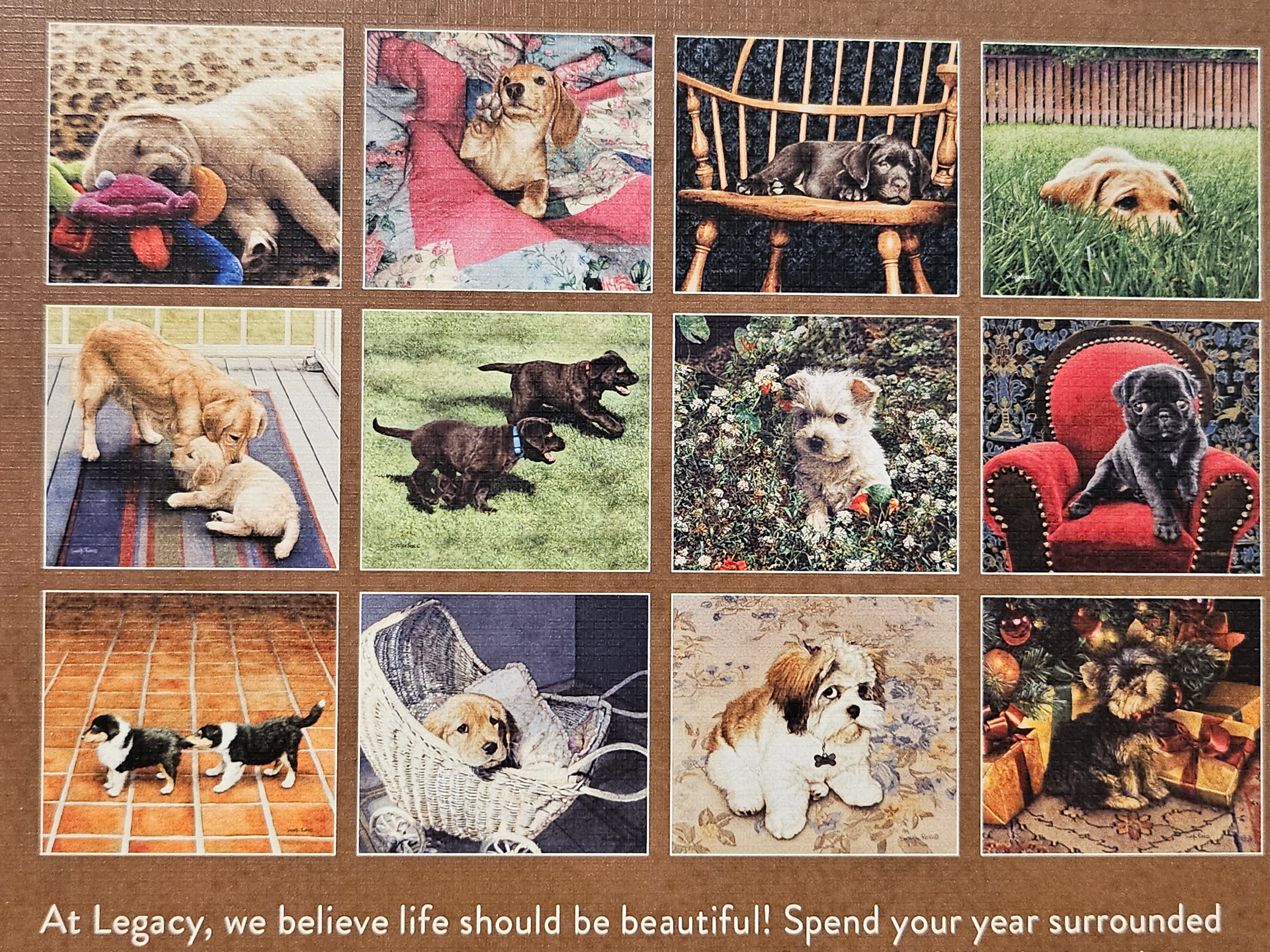 2026 - The Legacy Puppies Calendar - by Sueellen Ross - WCA103852