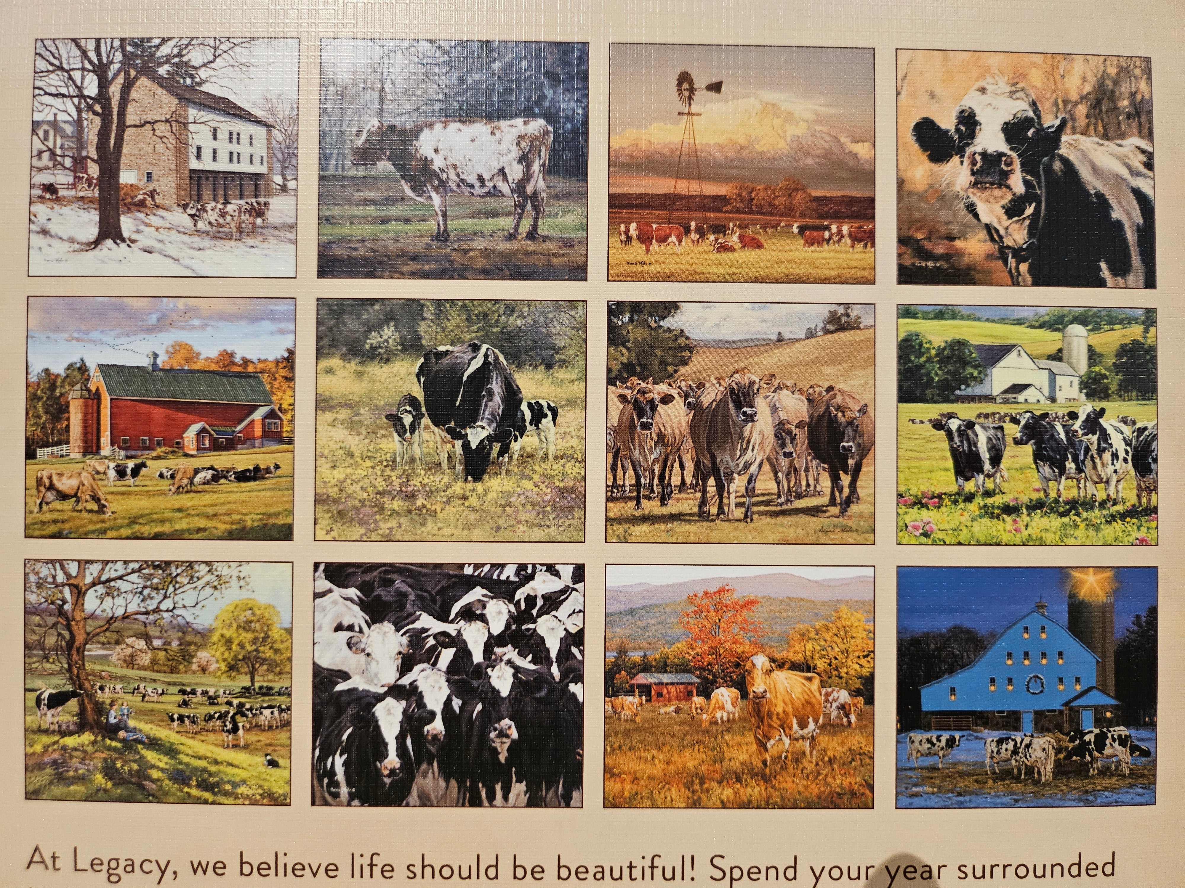 2026 - The Legacy Cow Calendar - by Bonnie Mohr - WCA100551