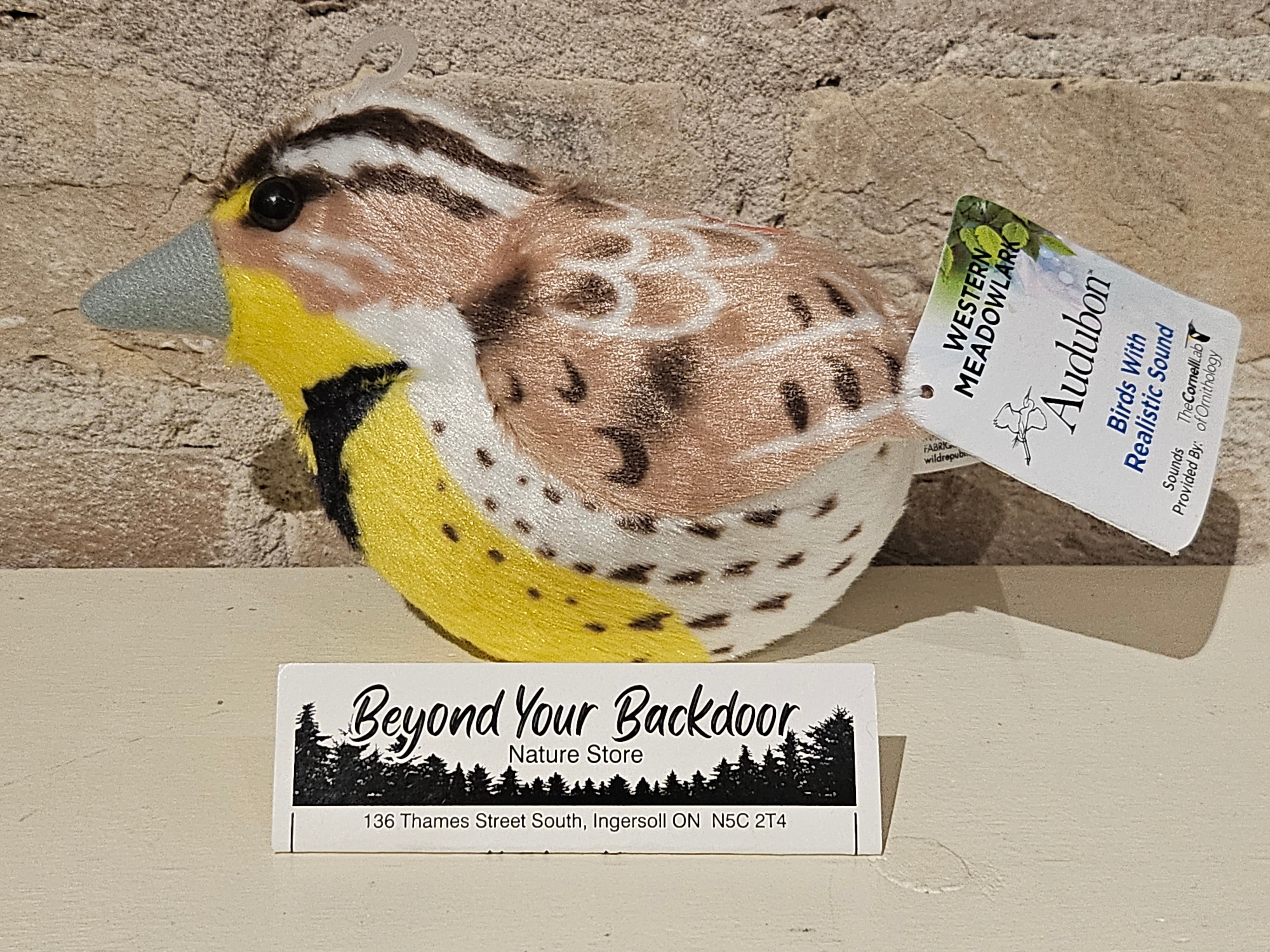 Wild Republic - Audubon Birds - Western Meadowlark - 18229