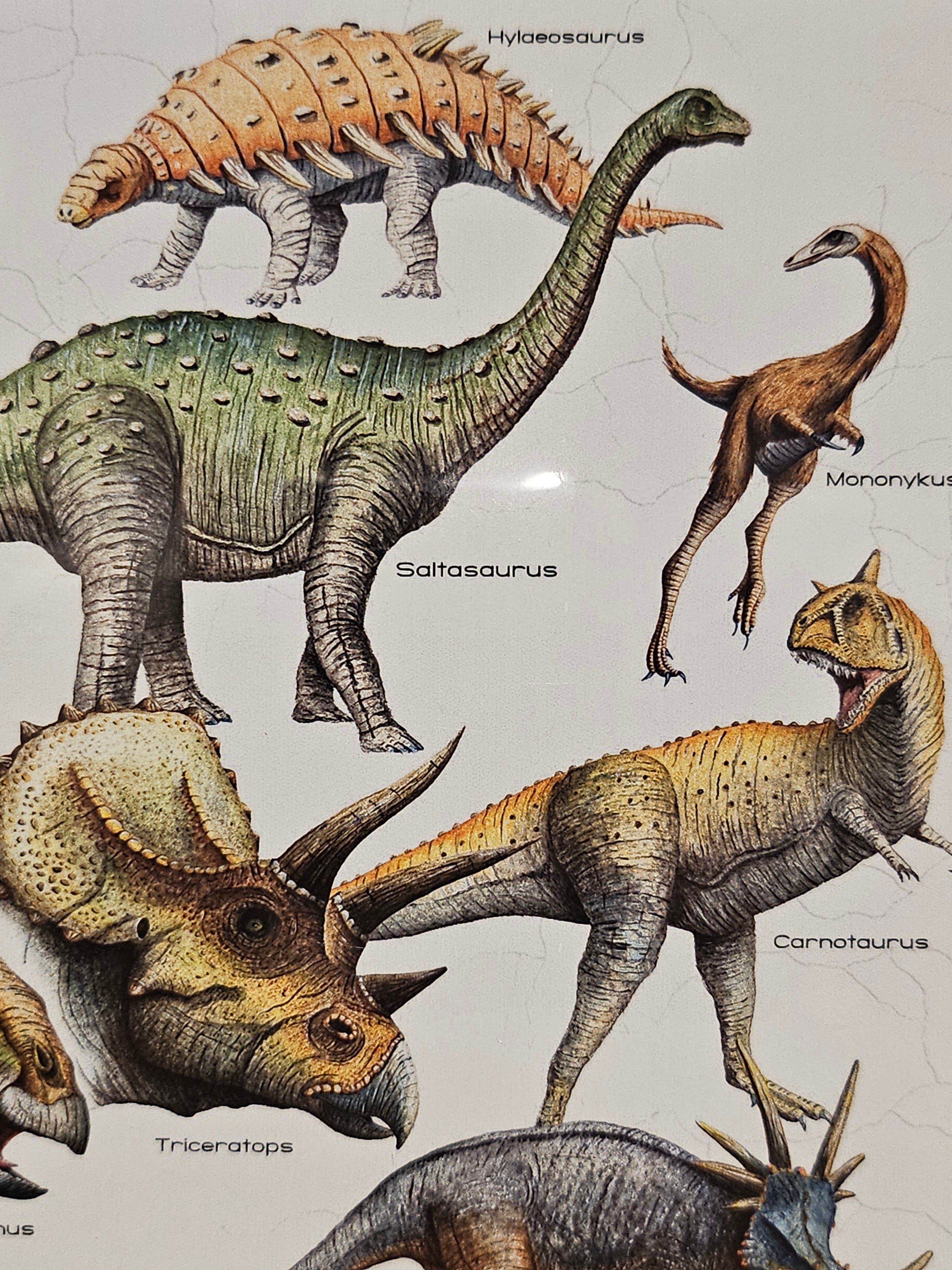 Eurographics Puzzle - Dinosaurs of the Cretaceous Period - 1000 pieces - 6000-0098