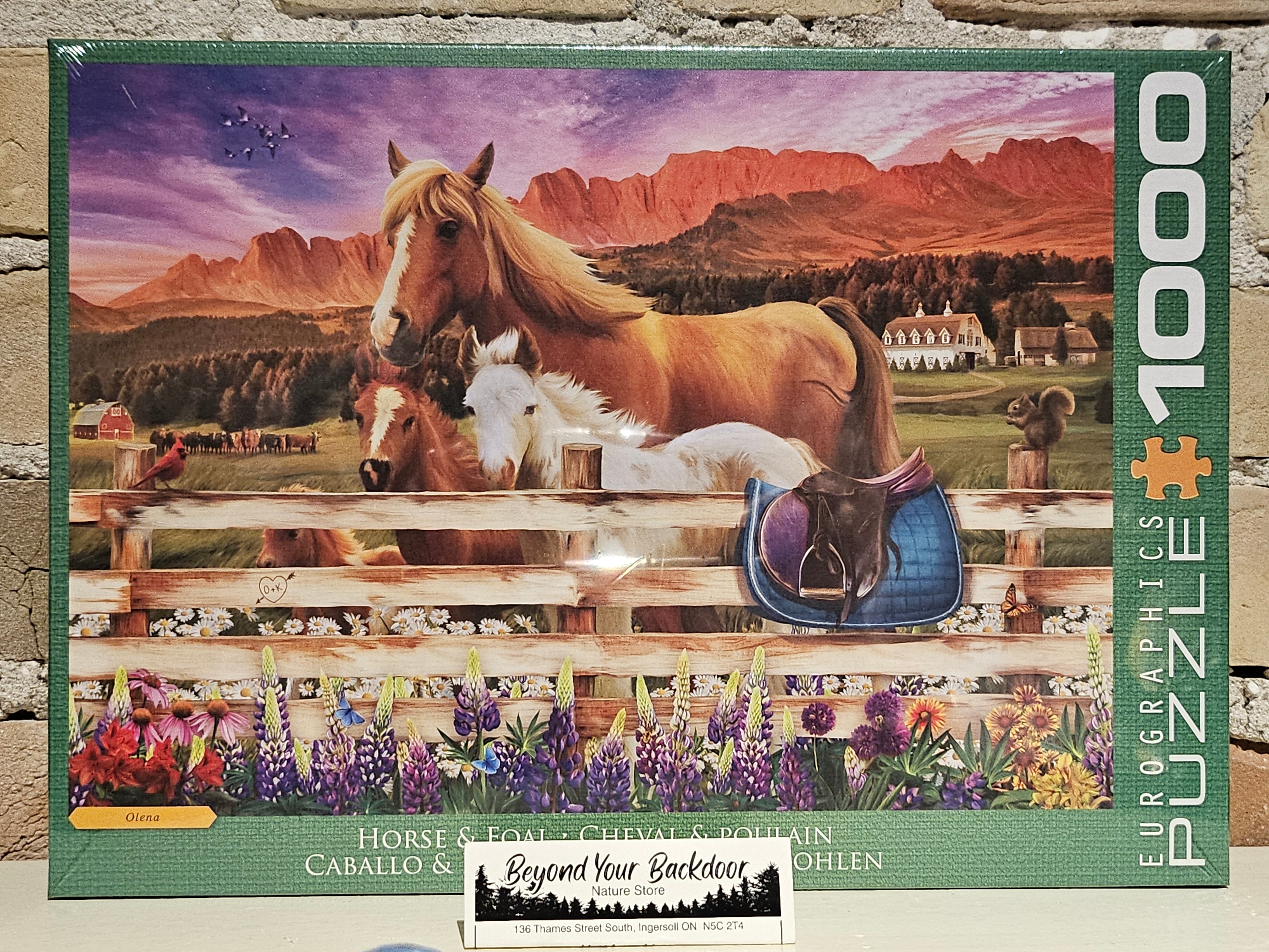 Eurographics Puzzle - Horse and Foal - 1000 pieces - 6000-6108