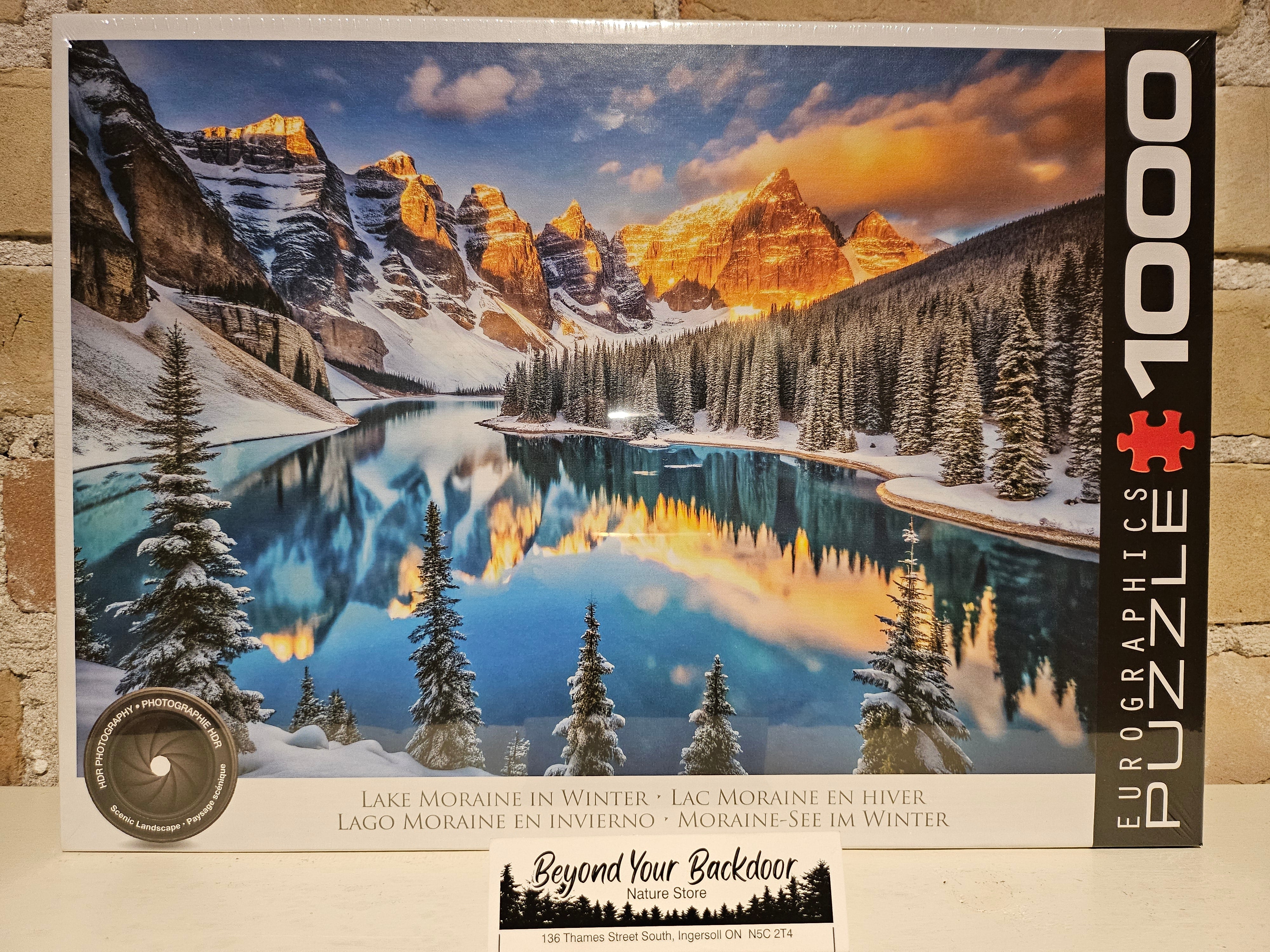 Eurographics Puzzle - Lake Moraine in WInter - 1000 pieces - 6000-6101
