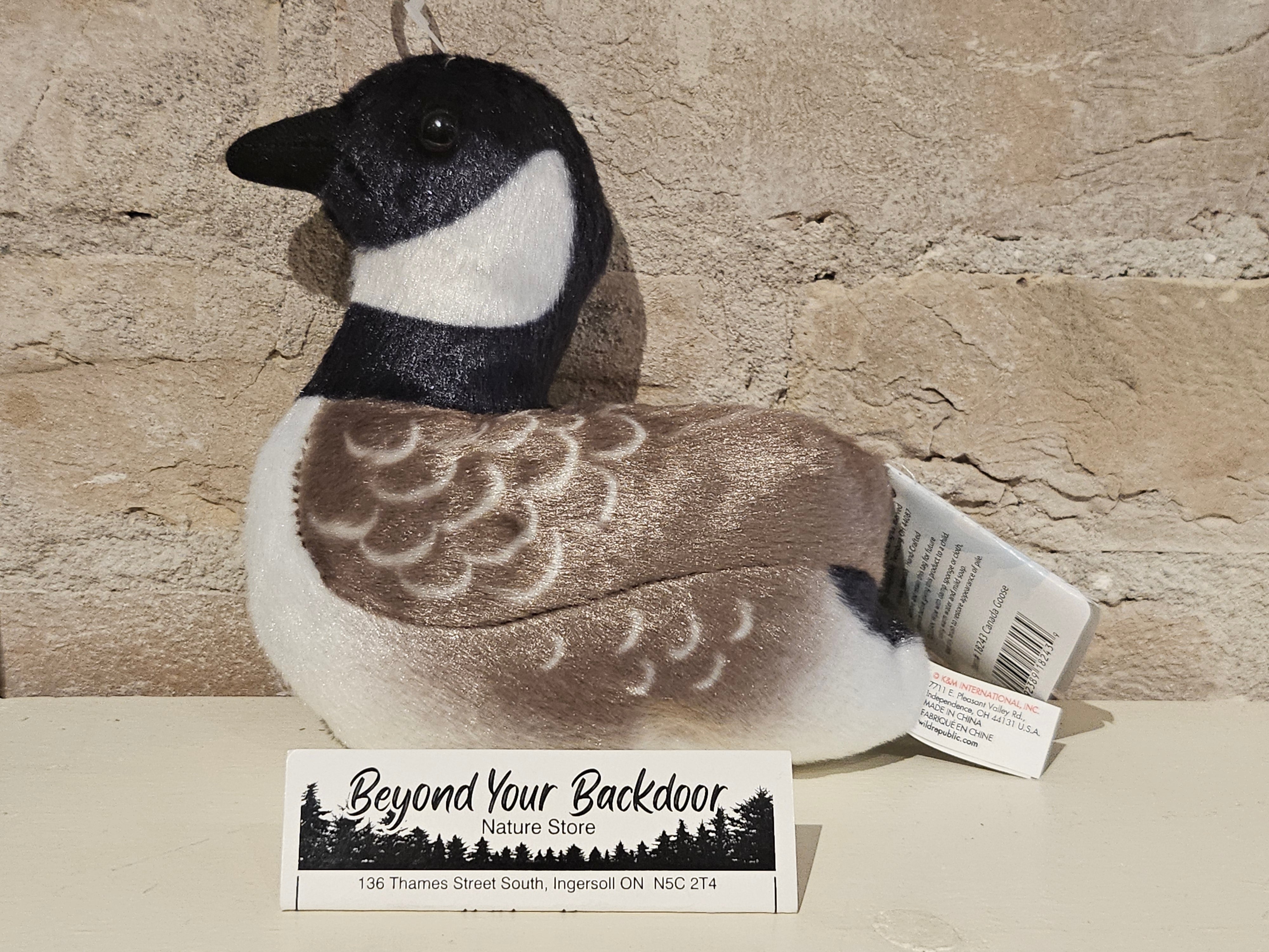 Wild Republic - Audubon Birds - Canada Goose - 18243