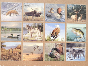 2026 - The Legacy Wildlife Calendar - Hautman Brothers Collection - WCA104474