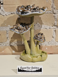 Mushroom - Set of Three - Stone Tops