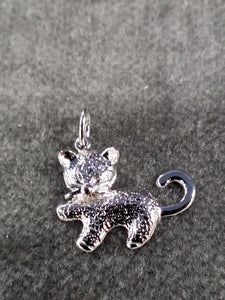 S/SCharm - Cat