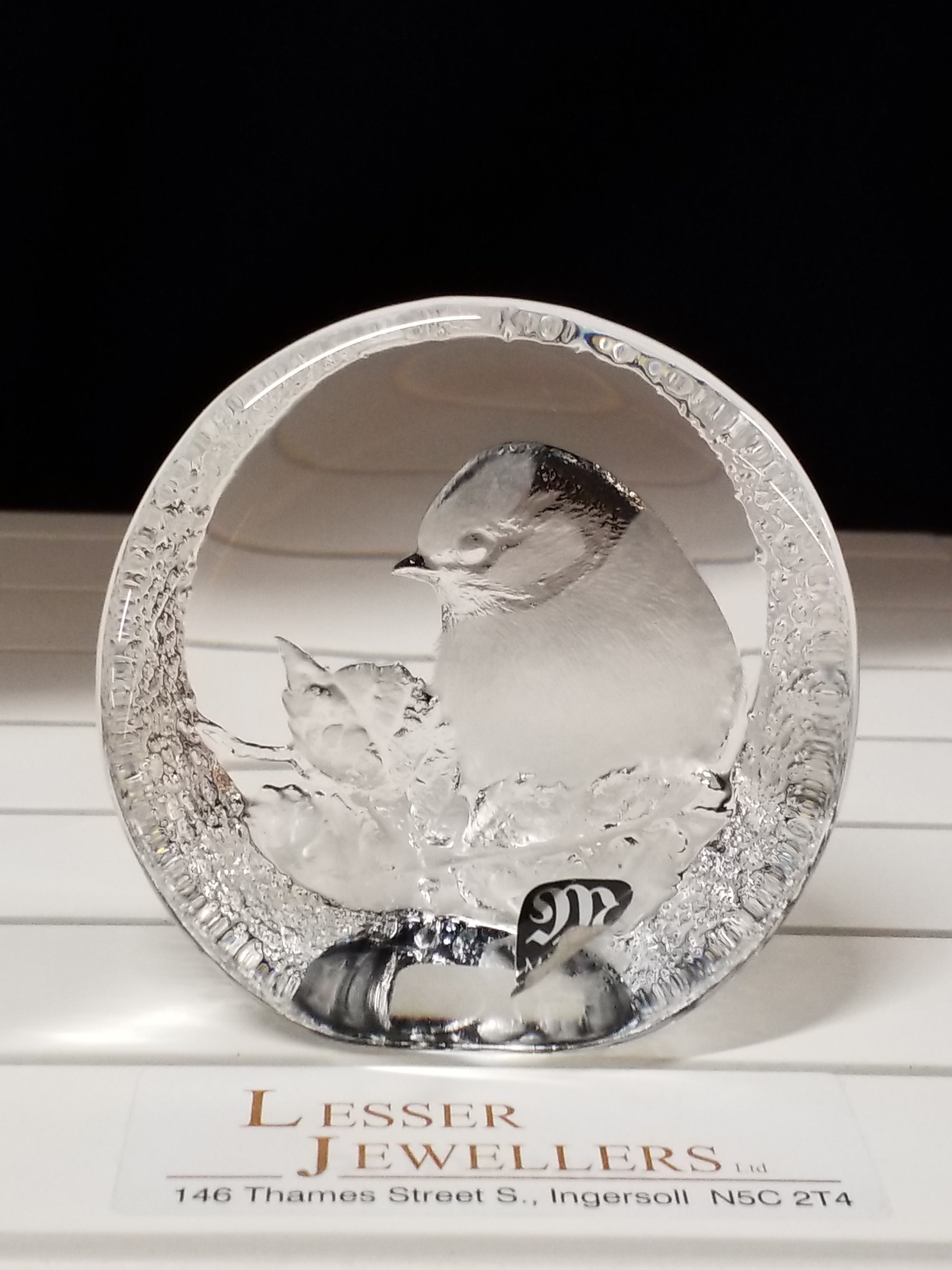 Ice Block Figurine - Etched Bird