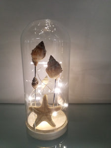 Table Decoration Light-up - Sea Shells