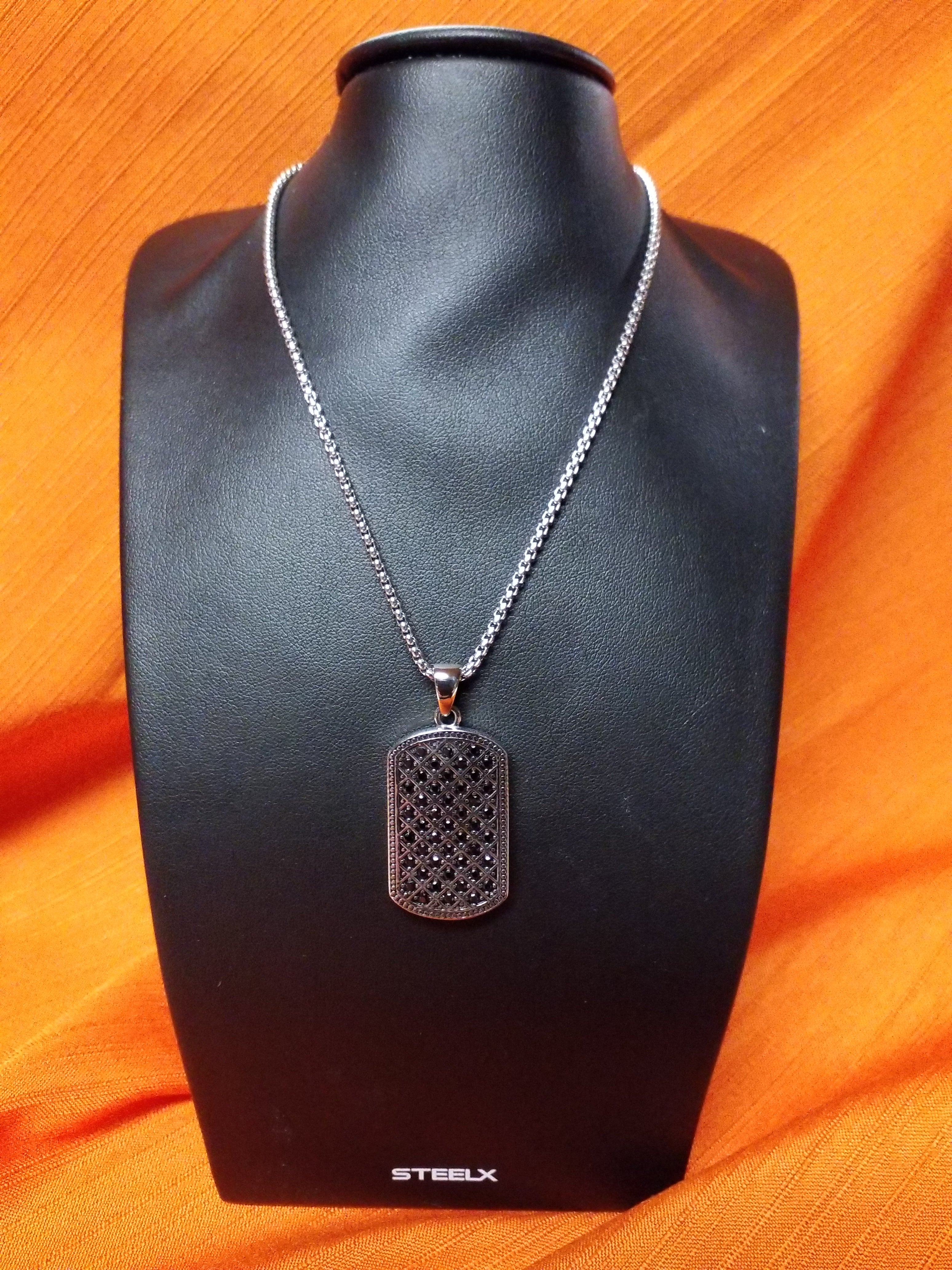 STEELX S/SChain and S/SPendant - Dog Tag
