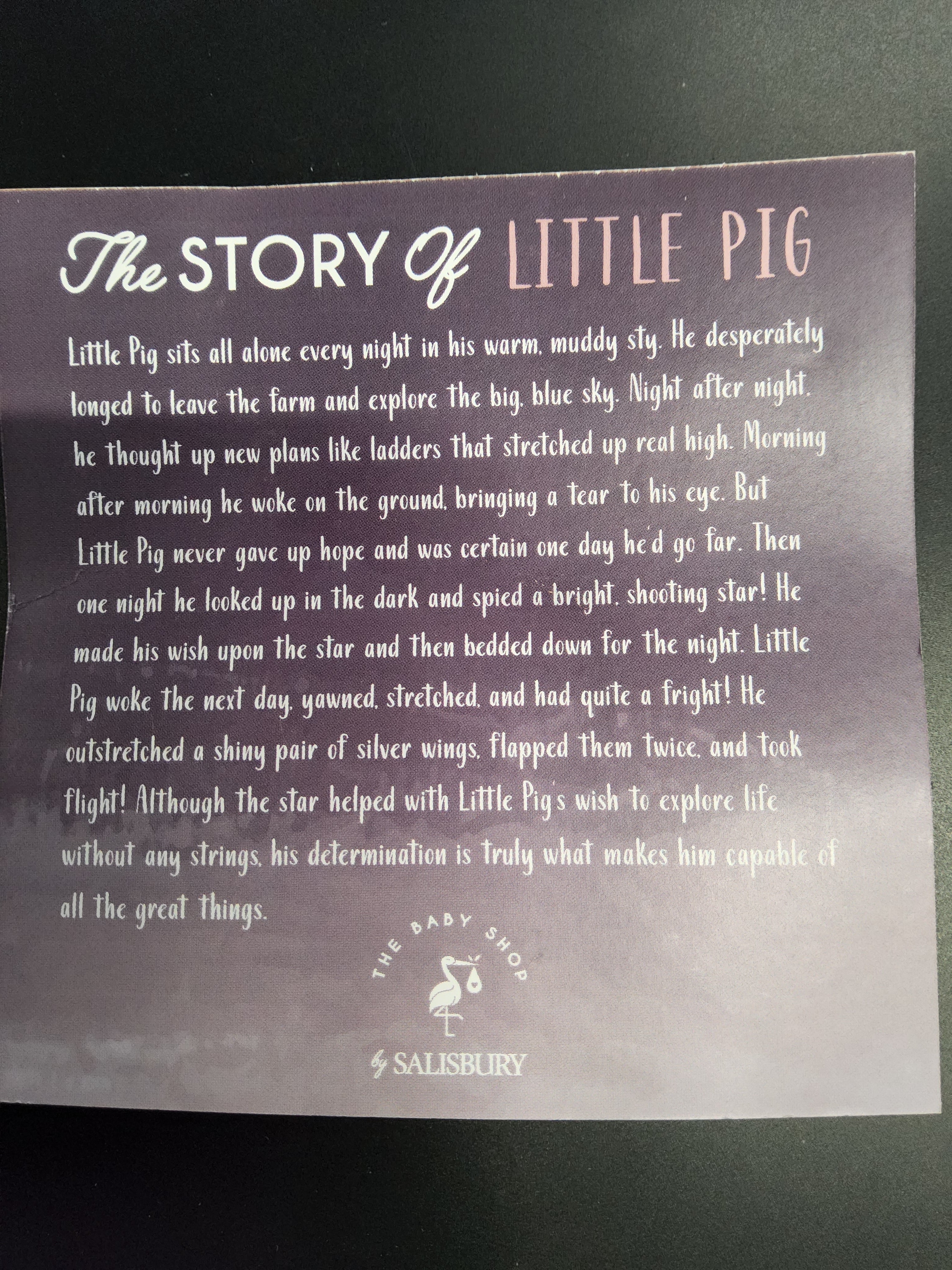 "Story of Little Pig" Baby Bank