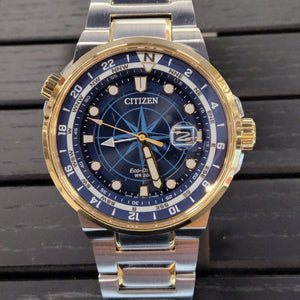 Citizen Eco-Drive Stainless Steel Watch