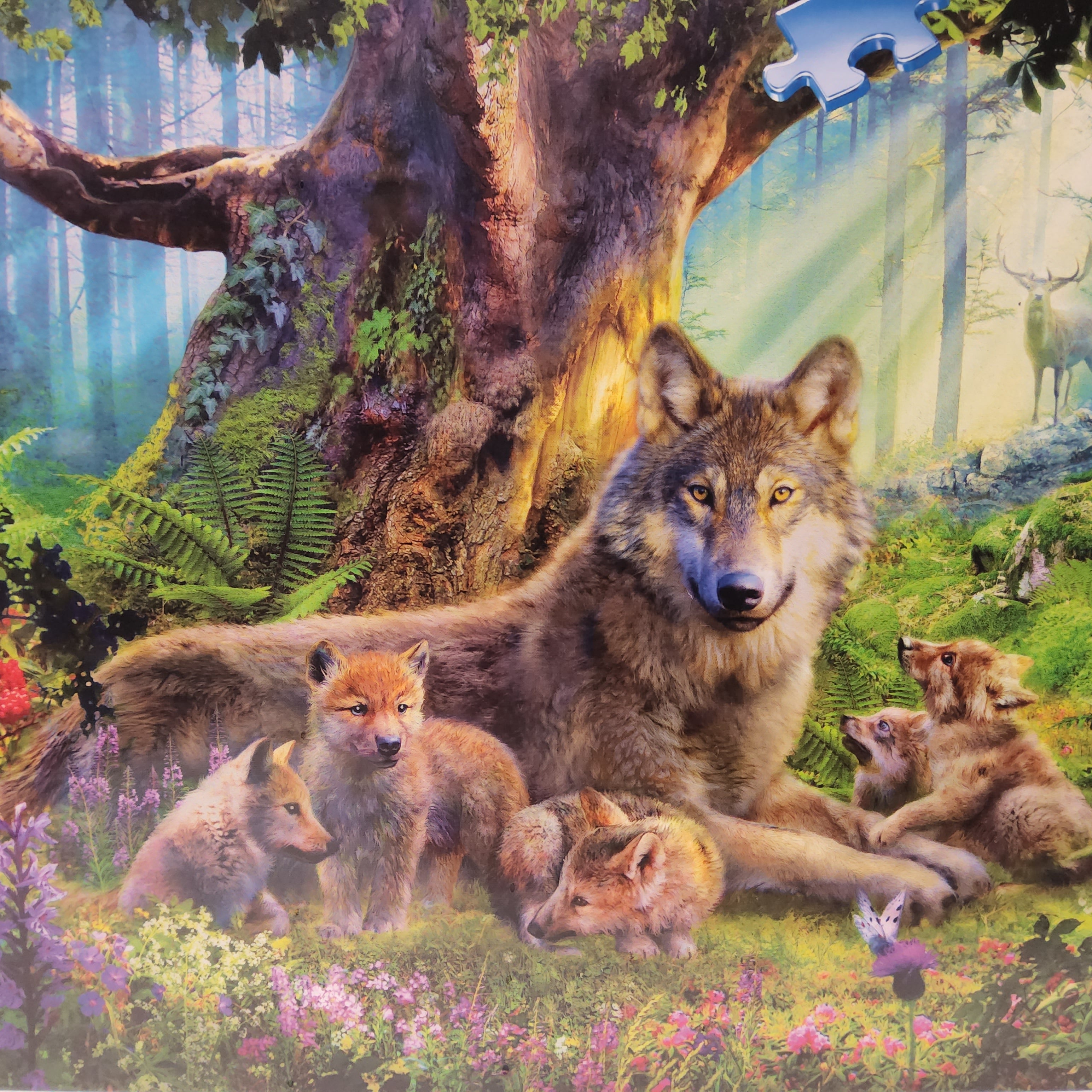 Ravensburger Puzzle - Wolves in the Forest - 1000 pieces - #15987
